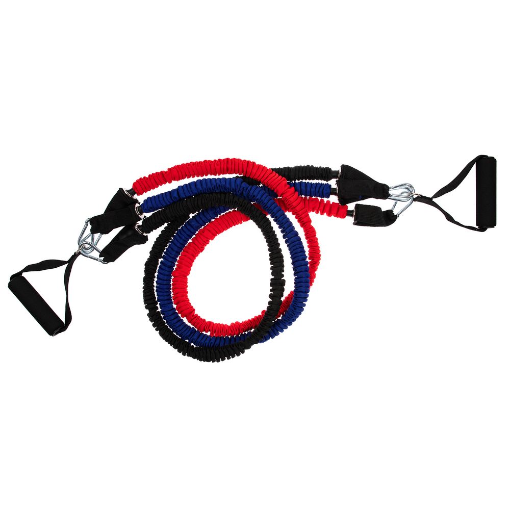 ����� ��������� ���������� Gym Team